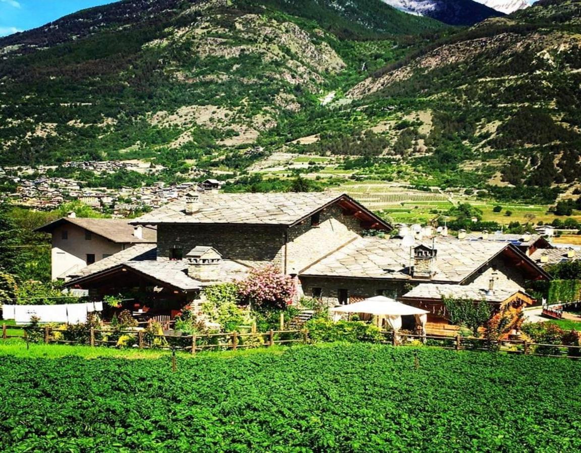Le Parfum Du Sel Hotel Jovencan Buitenkant foto